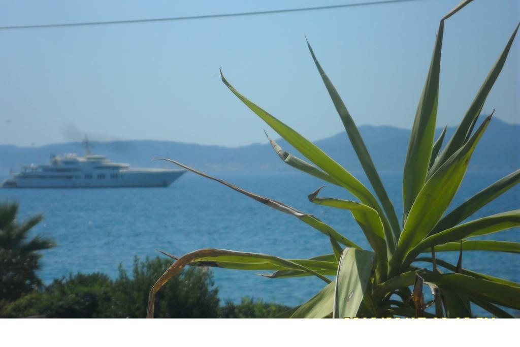 Apartments Nada Zadar Cameră foto